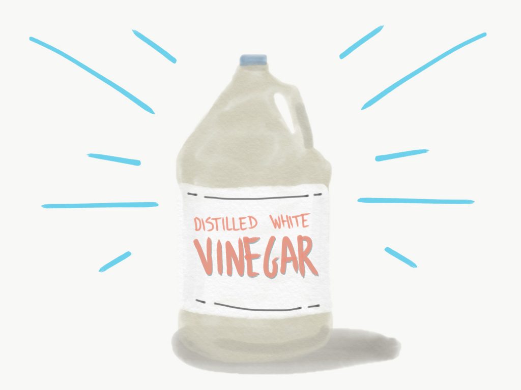 illustration of distilled white vinegar