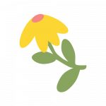 flower illustration