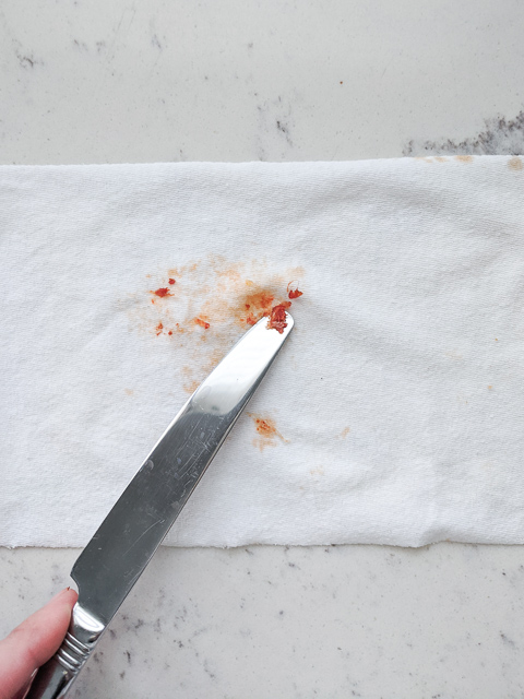 toddler clothes stain remover pizza